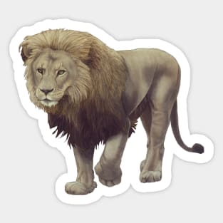 Lion Sticker